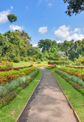 Royal Botanic Gardens